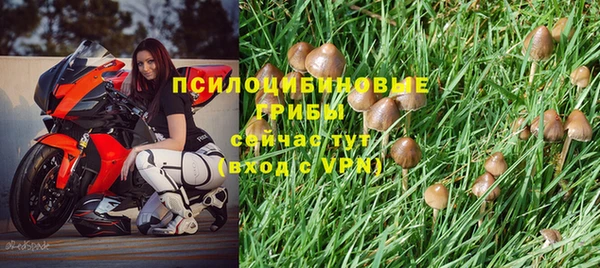 соль курить ск Аркадак