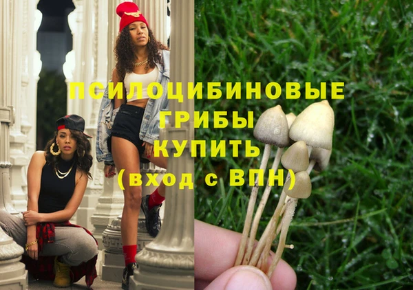 соль курить ск Аркадак
